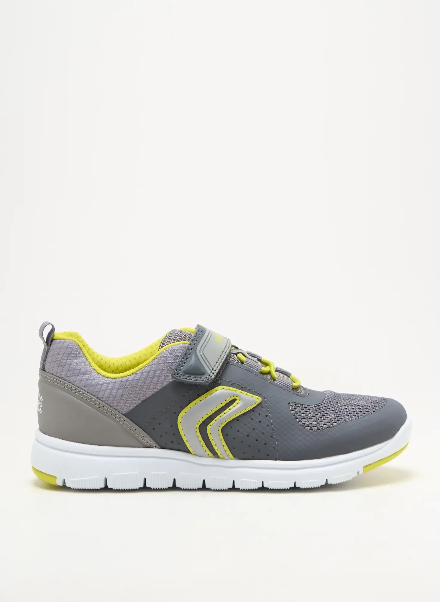 Baskets Geox Gris Bout Rond