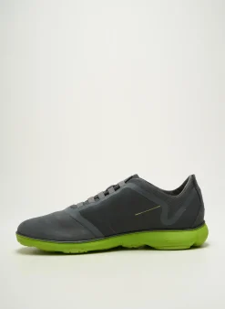 Baskets Geox Gris Bout Rond