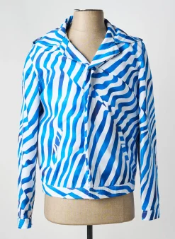 Blouson Pierre Talamon Bleu