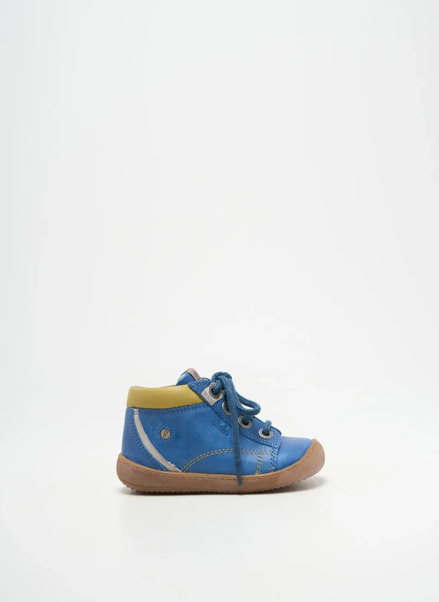 Bottillons Aster Bleu Bout Rond