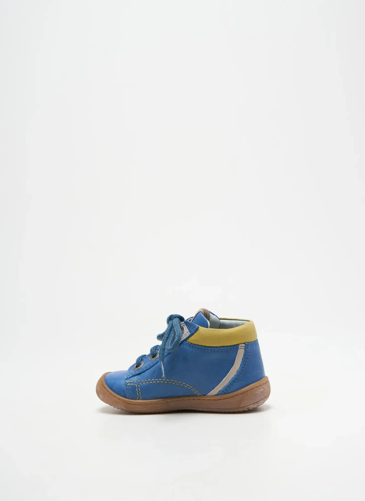 Bottillons Aster Bleu Bout Rond