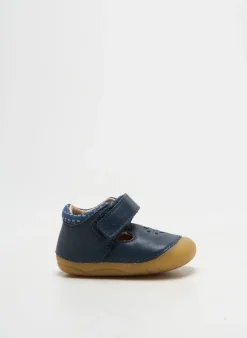 Bottillons Aster Bleu Bout Rond