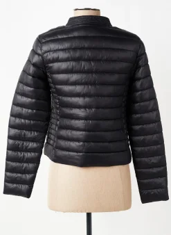 Doudoune Markup Noir Sans Capuche