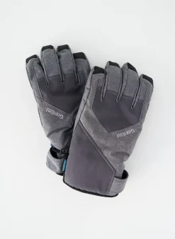 Gants Gordini Gris
