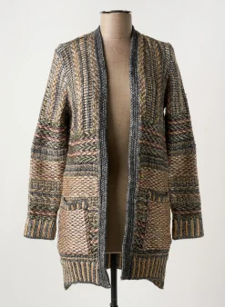 Gilet Manches Longues Desigual Gris