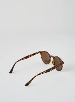 Lunettes De Soleil City Vision Eyewear Marron