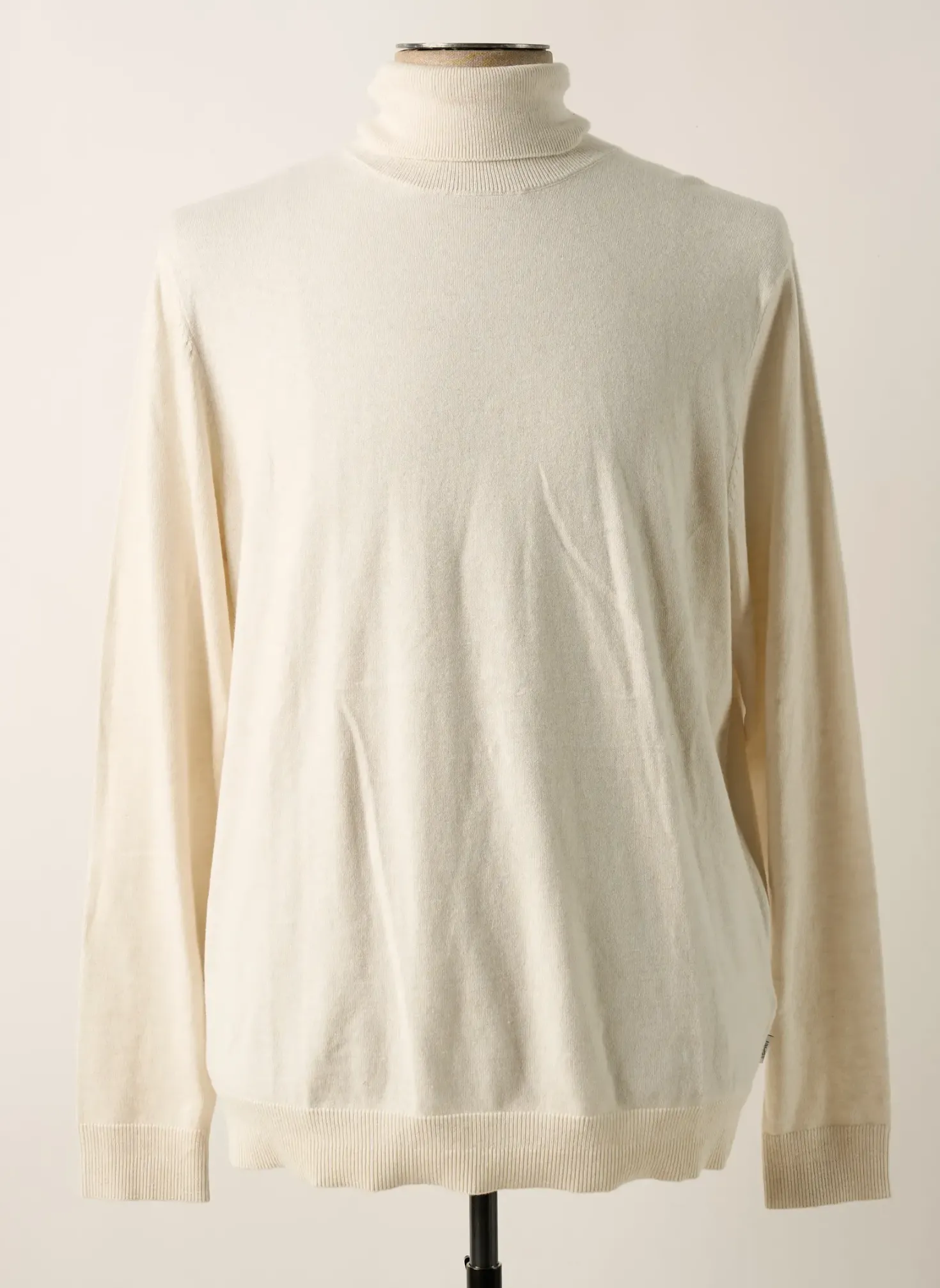 Pull Col Roulé Esprit Beige Manches Longues