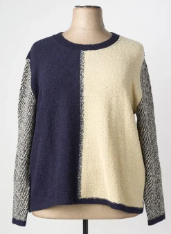 Pull Griffon Bleu Manches Longues