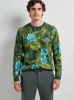 Pull Pierre Talamon Vert Manches Longues