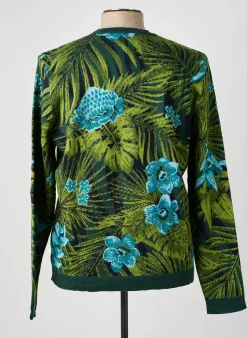 Pull Pierre Talamon Vert Manches Longues