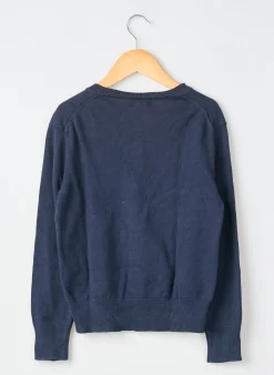 Pull Ralph Lauren Bleu Manches Longues