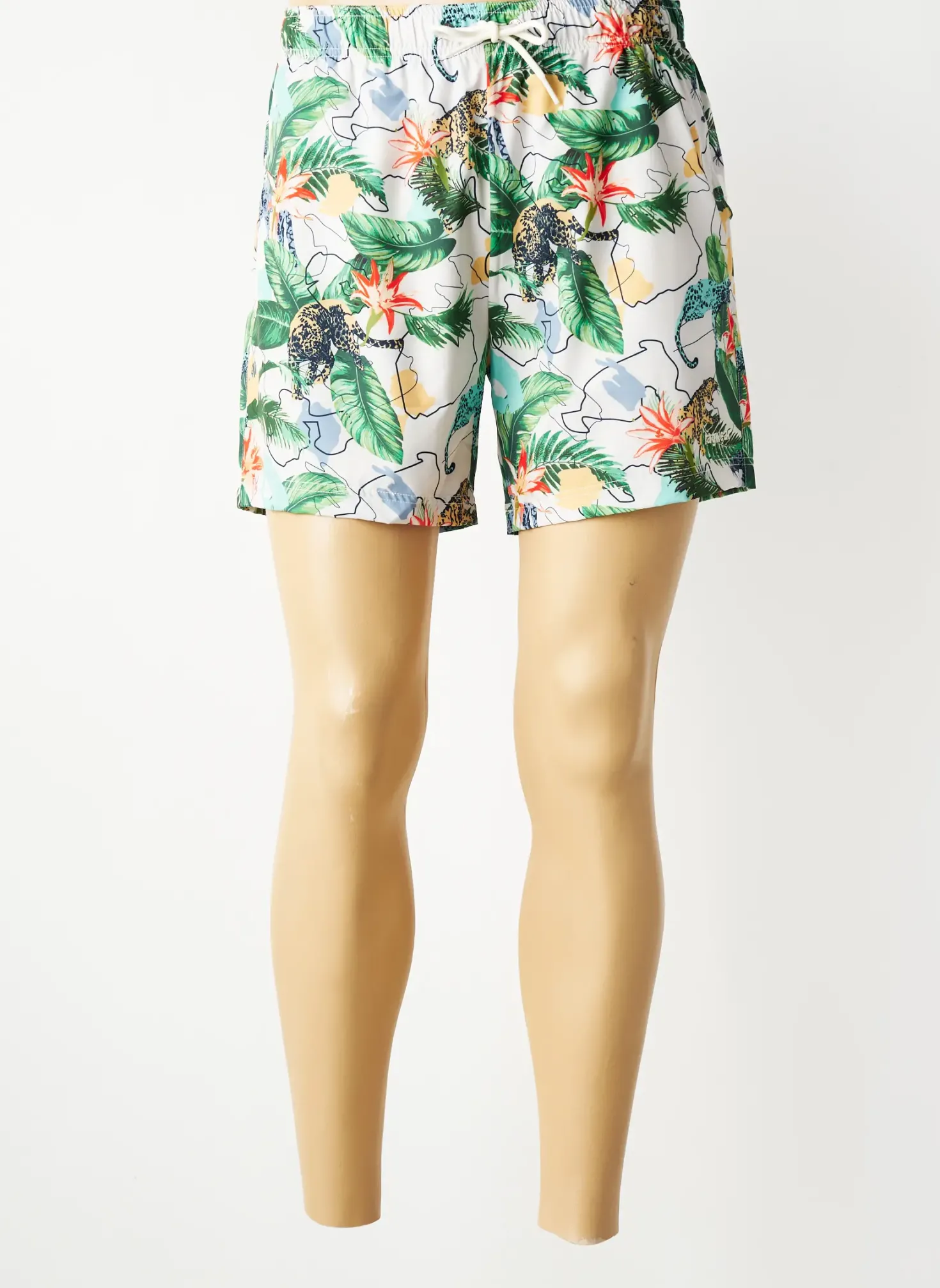 Short De Bain Ragwear Vert