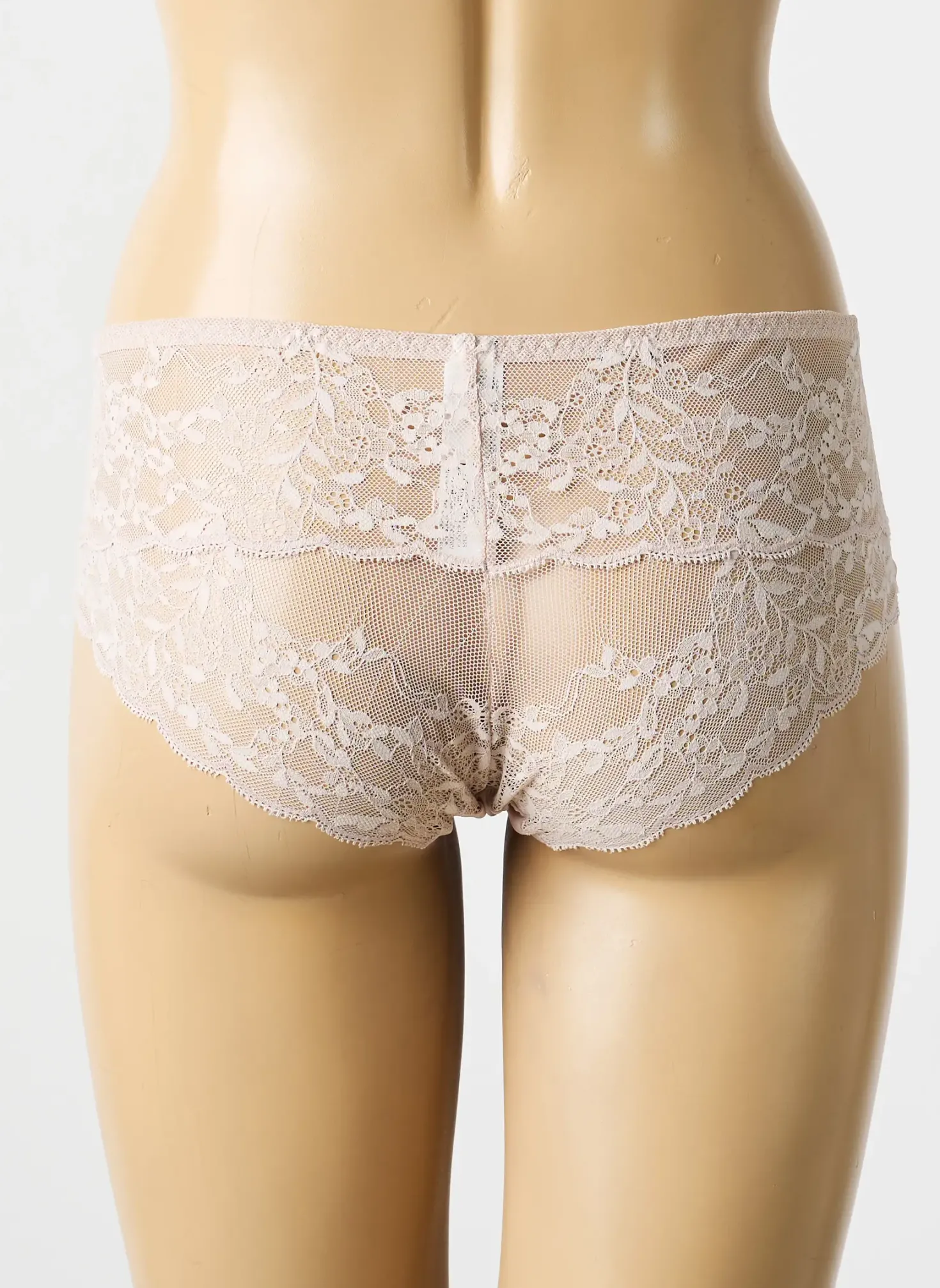 Shorty Triumph Rose