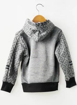 Sweat-shirt À Capuche Boys Collection Gris Manches Longues