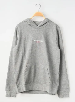 Sweat-shirt À Capuche Teddy Smith Gris Manches Longues