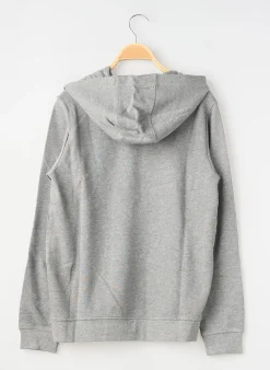 Sweat-shirt À Capuche Teddy Smith Gris Manches Longues