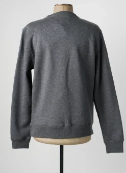 Sweat-shirt Daytona Gris Manches Longues