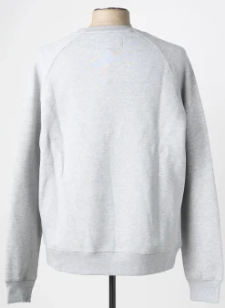 Sweat-shirt Daytona Gris Manches Longues