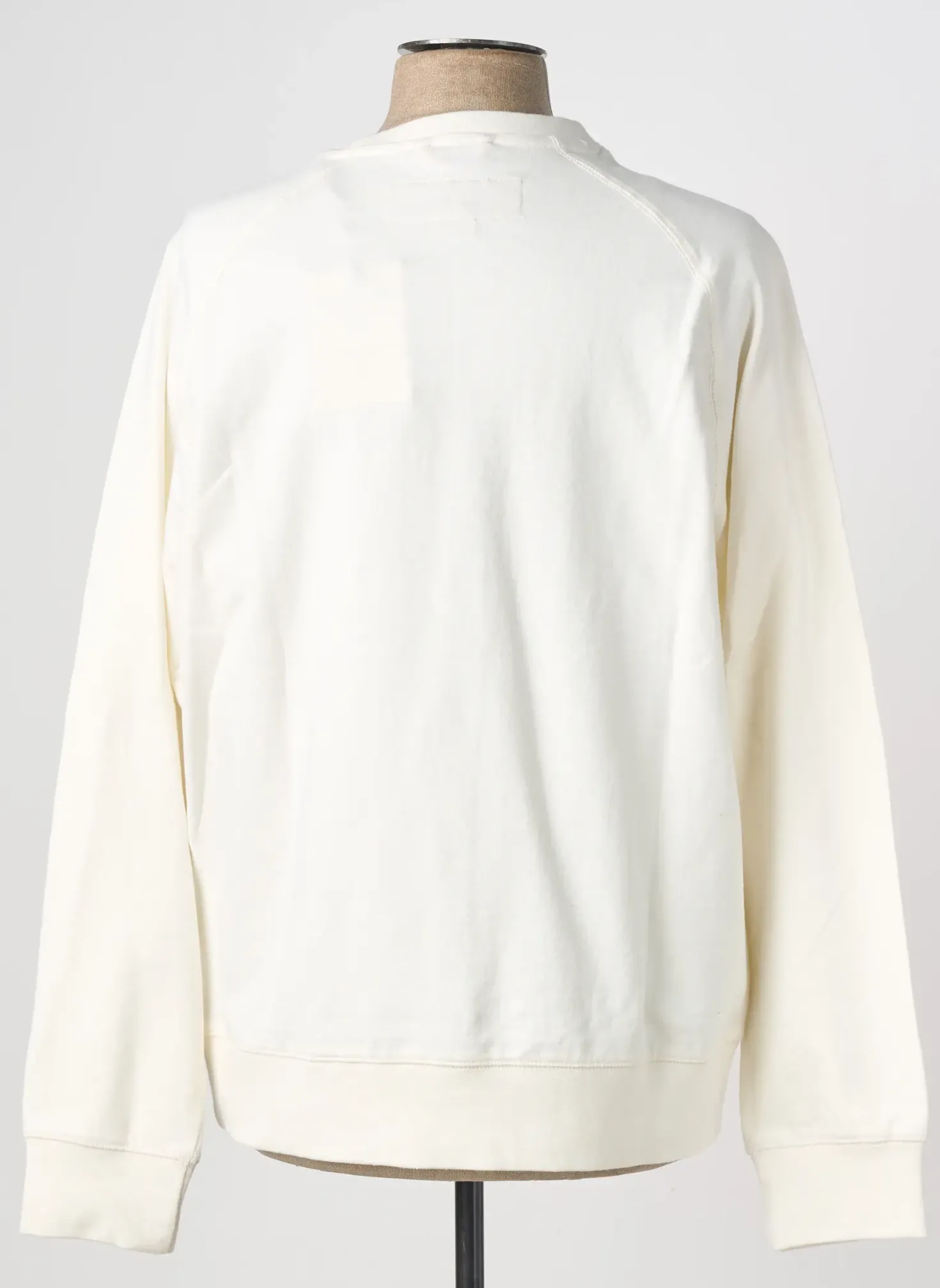 Sweat-shirt Iron And Resin Beige Manches Longues