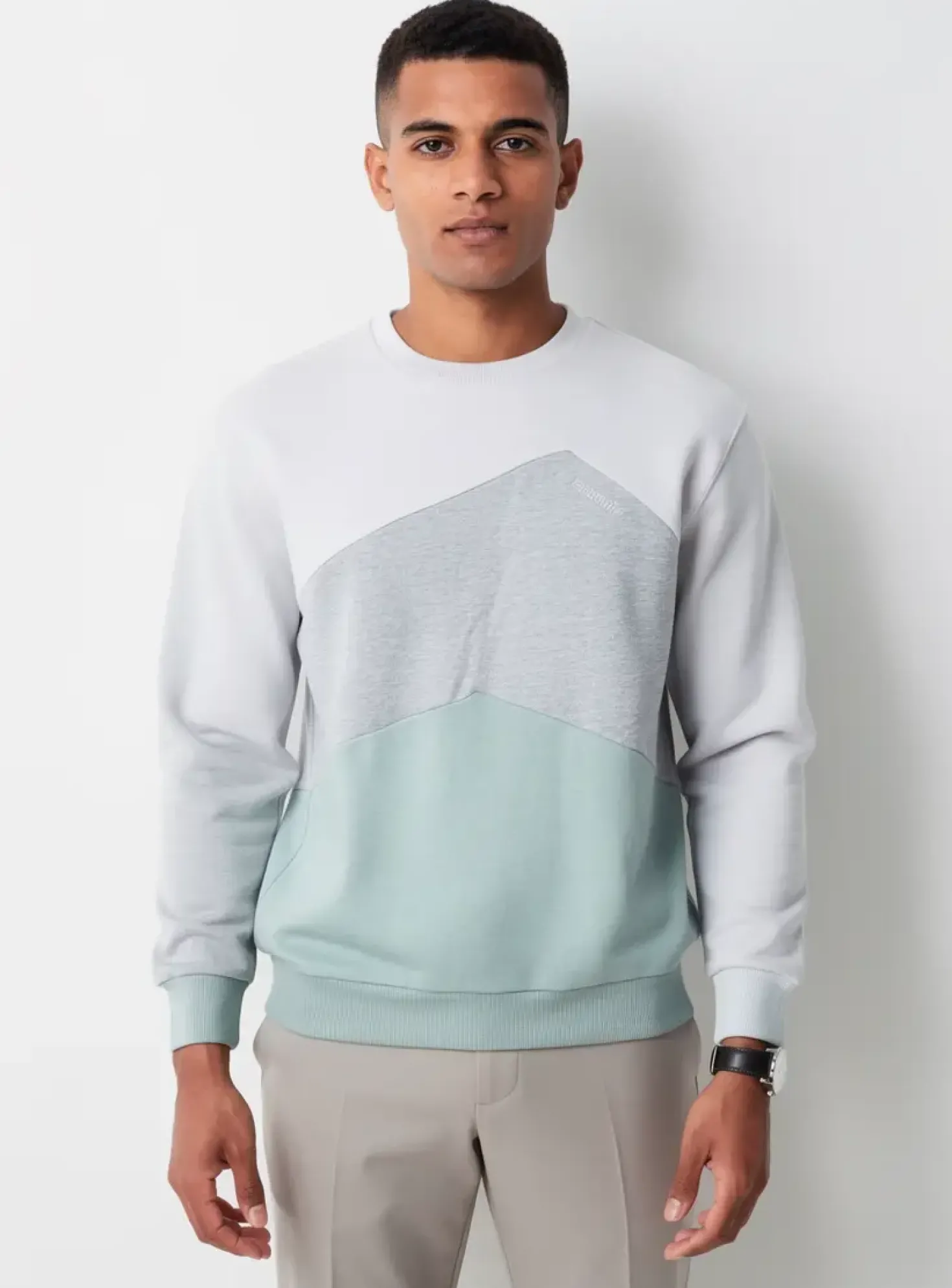 Sweat-shirt Ragwear Gris Manches Longues