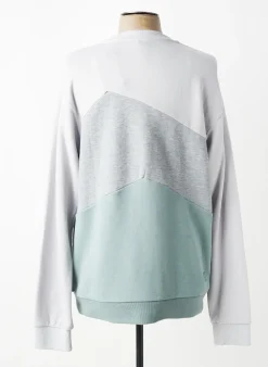Sweat-shirt Ragwear Gris Manches Longues
